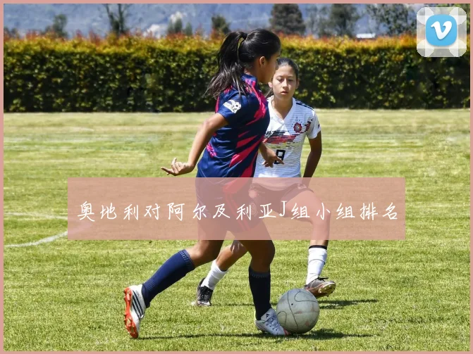 奥地利对阿尔及利亚J组小组排名