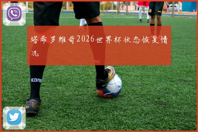 塔希罗维奇2026世界杯状态恢复情况