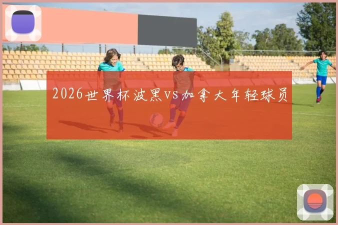 2026世界杯波黑vs加拿大年轻球员