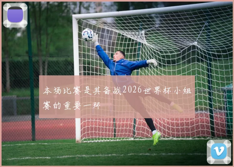 本场比赛是其备战2026世界杯小组赛的重要一环