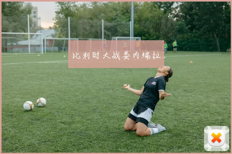 比利时大战委内瑞拉