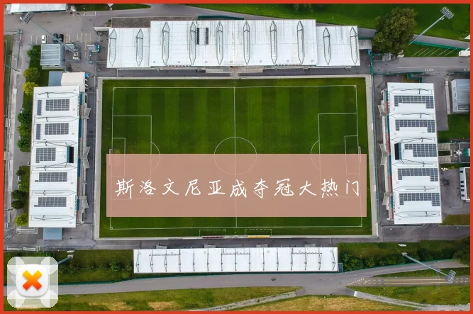斯洛文尼亚成夺冠大热门