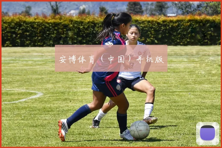 安博体育（中国）手机版