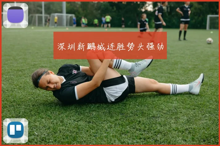 深圳新鹏城连胜势头强劲