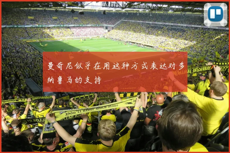 曼奇尼似乎在用这种方式表达对多纳鲁马的支持