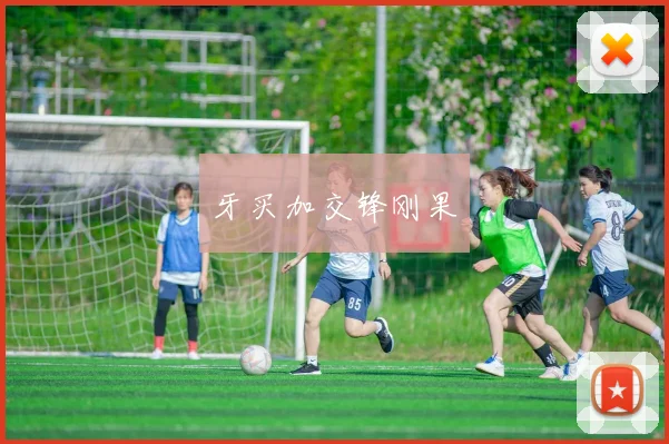 牙买加交锋刚果