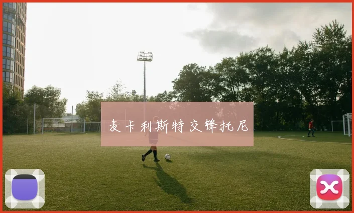 麦卡利斯特交锋托尼