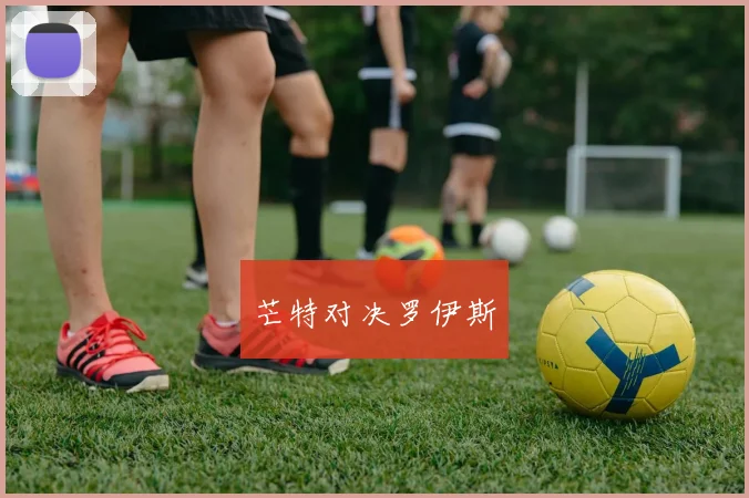 芒特对决罗伊斯