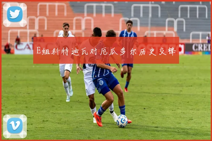 E组科特迪瓦对厄瓜多尔历史交锋