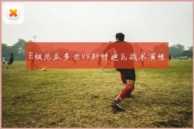 E组厄瓜多尔vs科特迪瓦战术演练
