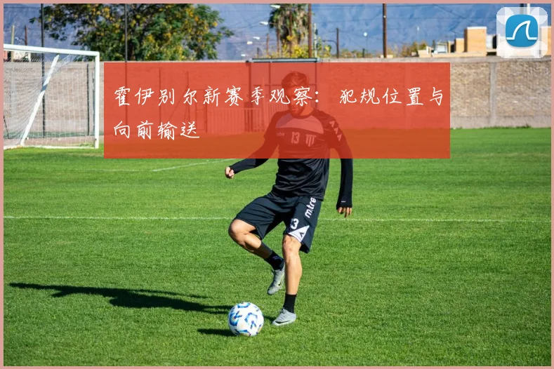 霍伊别尔新赛季观察:犯规位置与向前输送